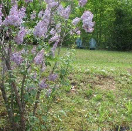 Tumble Inn Schroon Lake Bagian luar foto